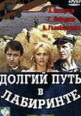 Долгий путь в лабиринте (мини-сериал)