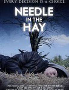 Needle in the Hay
