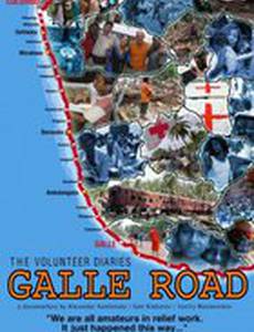 Дорога на Галле – дневник добровольцев