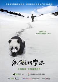 Постер След панды