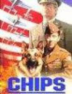 Военный пёс Чипс