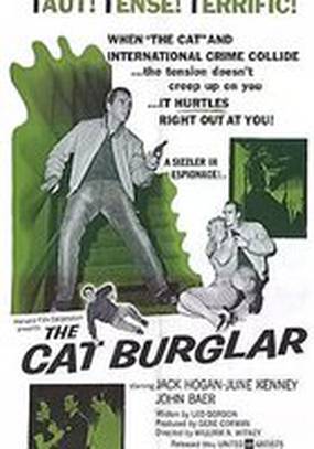 The Cat Burglar