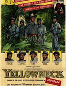 Yellowneck