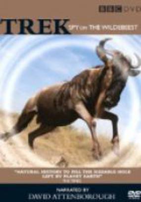 Trek: Spy on the Wildebeest