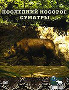 Animal Planet: Последний носорог Суматры