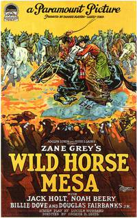 Постер Wild Horse Mesa