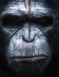 Постер из фильма "Рассвет планеты обезьян" - 1