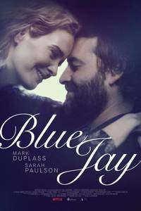 Постер Blue Jay