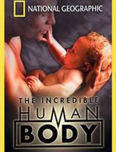 National Geographic: The Incredible Human Body