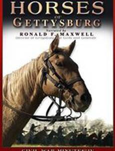 Horses of Gettysburg (видео)