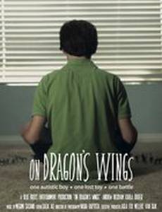 On Dragon's Wings