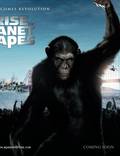 Постер из фильма "Восстание планеты обезьян" - 1