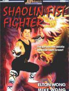 Shaolin Fist Fighter