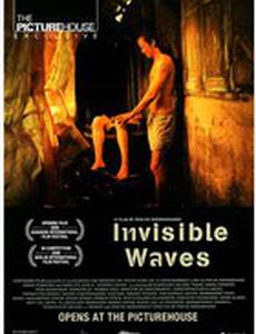 Невидимые волны