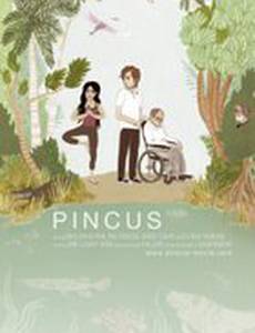 Pincus