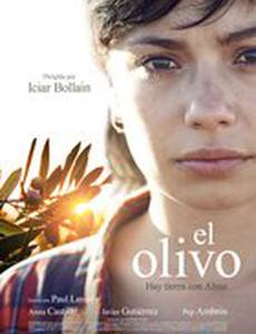 El olivo