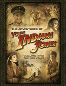 Приключения молодого Индианы Джонса: Шпионские игры (видео)