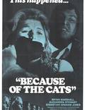 Постер из фильма "Из-за кошек" - 1