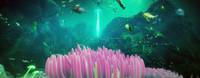Кадр Подводная страна чудес 3D