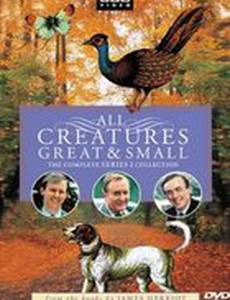 All Creatures Great & Small 2