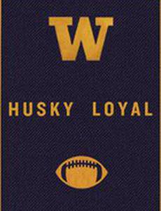 Husky Loyal