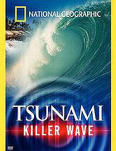 National Geographic: Tsunami - Killer Wave (видео)