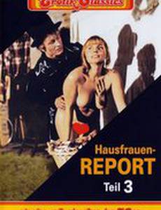 Hausfrauen-Report 3