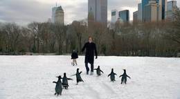 Кадр из фильма "Пингвины мистера Поппера" - 1