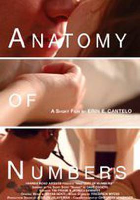 Anatomy of Numbers