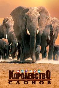 Постер Африка – королевство слонов