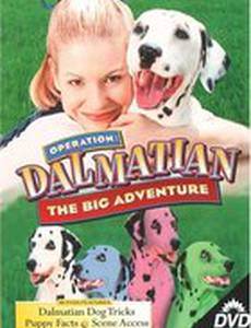 Operation Dalmatian: The Big Adventure