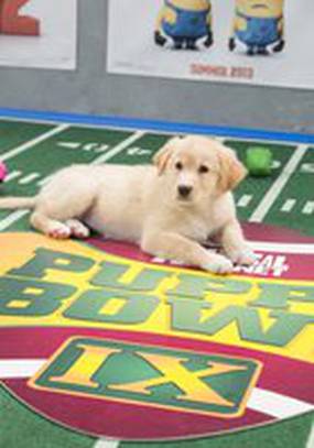 Puppy Bowl IX