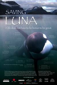 Постер Saving Luna