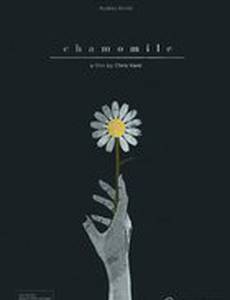 Chamomile