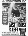 Постер из фильма "Последний дом слева" - 1