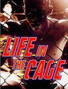 Life in the Cage (видео)