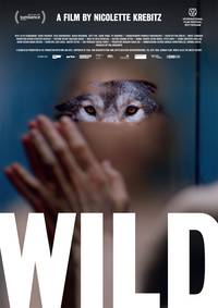 Постер Wild