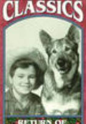 The Return of Rin Tin Tin