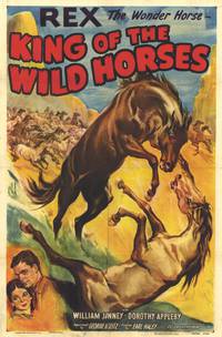 Постер King of the Wild Horses