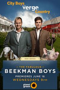 Постер The Fabulous Beekman Boys