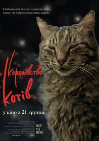 Постер Город кошек