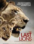 Постер из фильма "Последние львы (видео)" - 1
