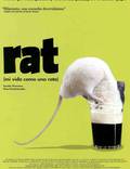 Постер из фильма "Мистер крыс" - 1