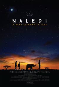 Постер Naledi: A Baby Elephant's Tale