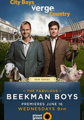 The Fabulous Beekman Boys