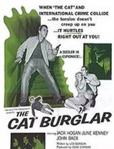 The Cat Burglar