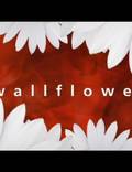 Постер из фильма "Wallflower" - 1