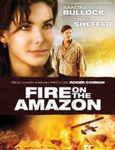 Амазонка в огне (видео)