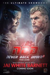 Постер Never Back Down 3