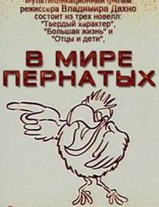 В мире пернатых